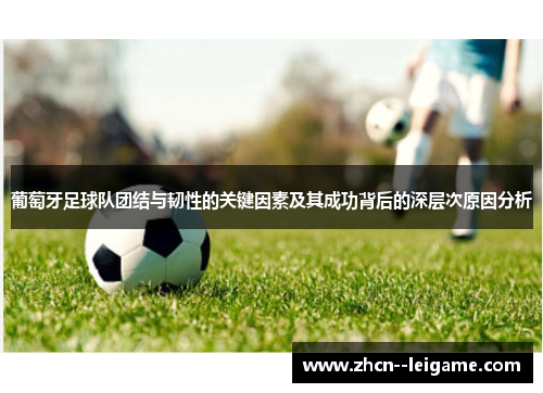 葡萄牙足球队团结与韧性的关键因素及其成功背后的深层次原因分析