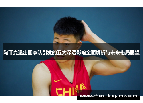 陶菲克退出国家队引发的五大深远影响全面解析与未来格局展望